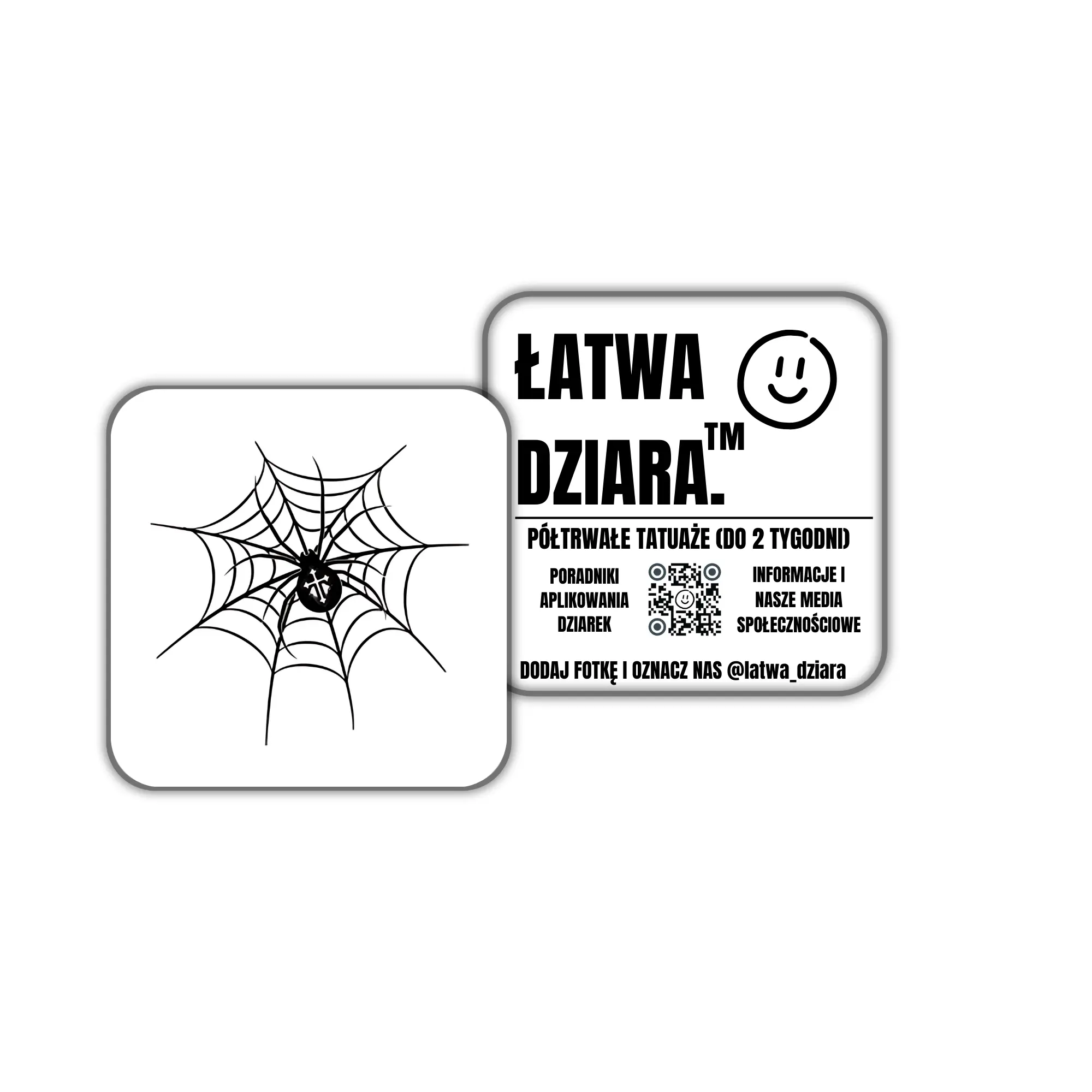 Pajęczyna Pająk